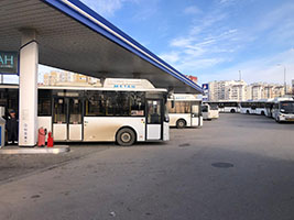 ���������, ����